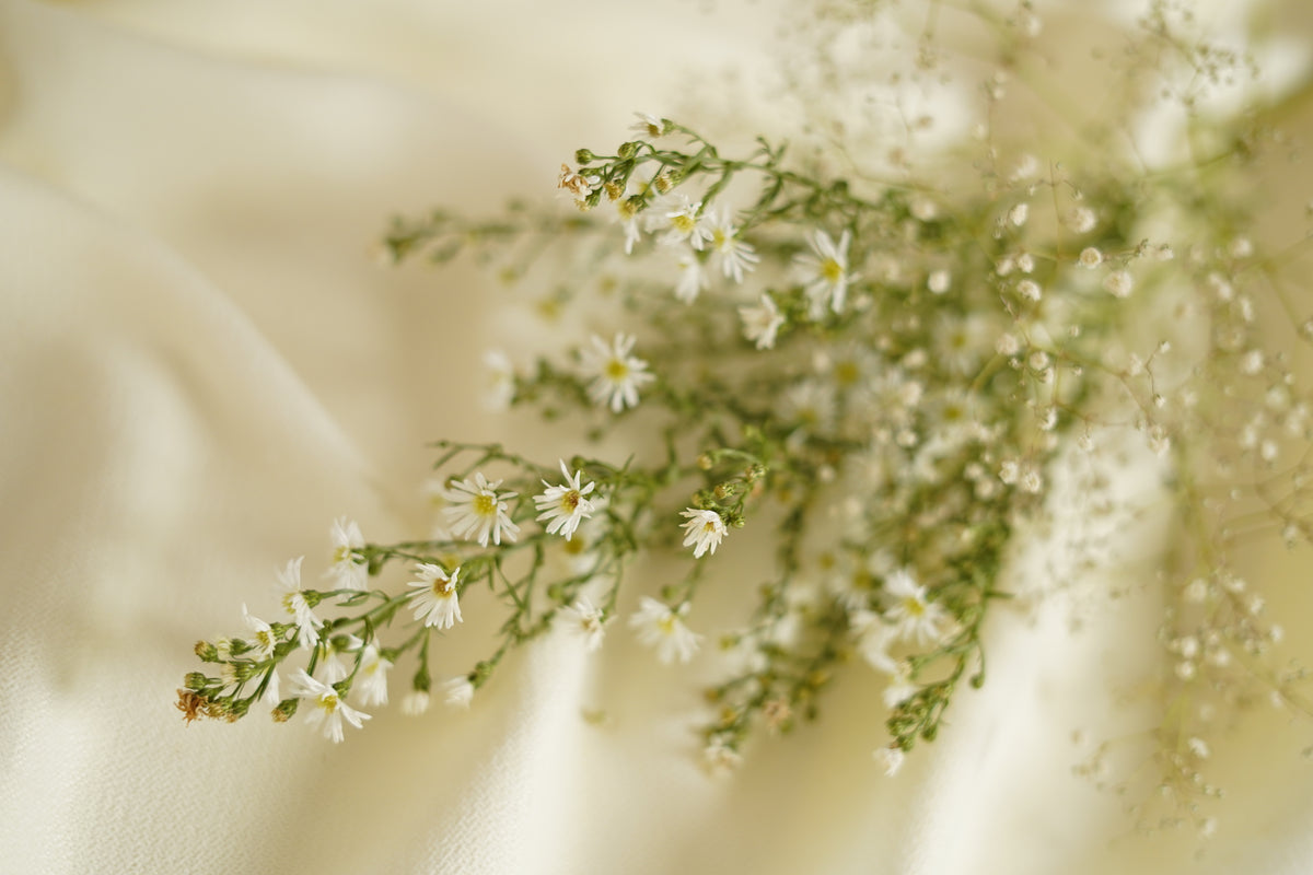 A close-up of delicate white baby's breath flowers with green stems resting on soft cream-colored fabric.